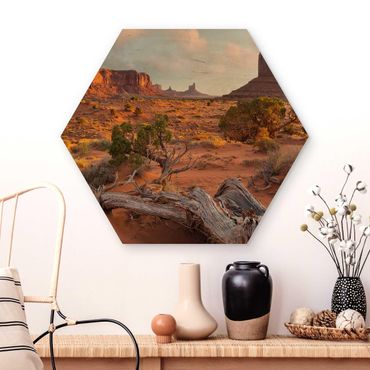 Wooden hexagon - Monument Valley Navajo Tribal Park Arizona
