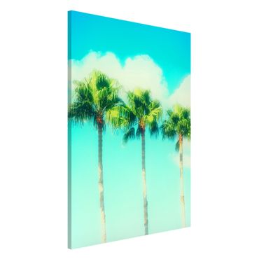 Magnetic memo board - Palm Trees Against Blue Sky