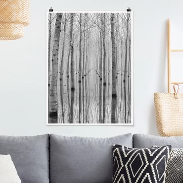 Poster forest - Birches In November