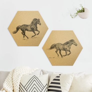 Alu-Dibond hexagon - Wild Horse Study Set I