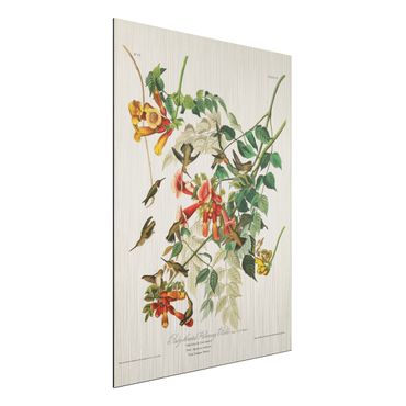 Print on aluminium - Vintage Board Hummingbirds