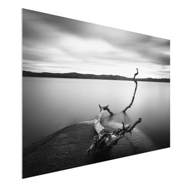 Forex print - Sunset In Black And White By The Lake