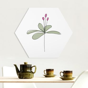 Forex hexagon - Lily Line Art