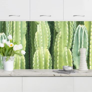 Kitchen wall cladding - Cactus Wall
