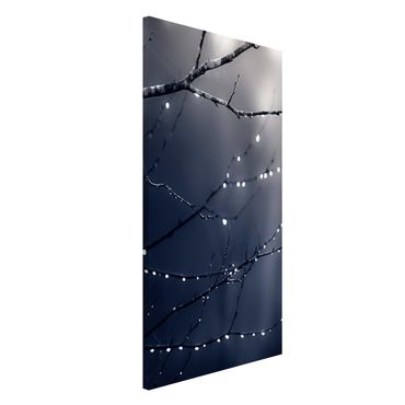Magnetic memo board - Drops Of Light On A Branch Of A Birch Tree