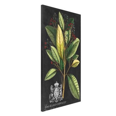 Magnetic memo board - Vintage Royales Foliage On Black IV