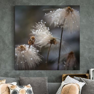 Print on canvas - Dandelions With Snowflakes