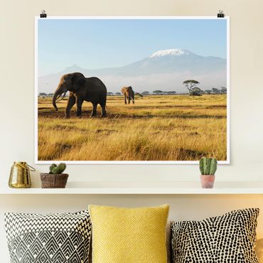 Poster - Elephants In Front Of The Kilimanjaro In Kenya