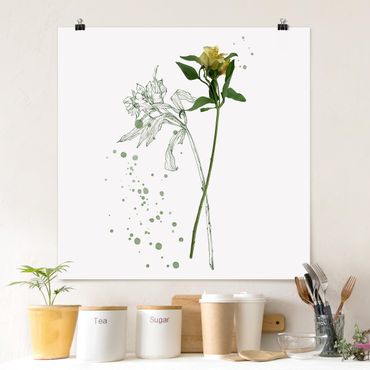 Poster - Botanical Watercolour - Lily