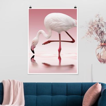 Poster animals - Flamingo Dance