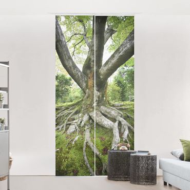 Sliding panel curtains set - Old Tree