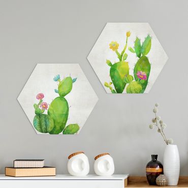Forex hexagon - Cactus Family Set I