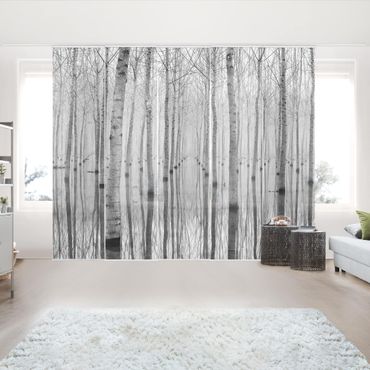Sliding panel curtains set - Birches In November