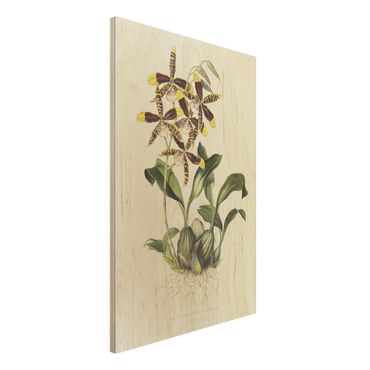 Print on wood - Maxim Gauci - Orchid II