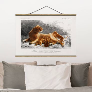 Fabric print with poster hangers - Vintage Board Lioness And Lion Cubs