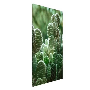 Magnetic memo board - Cacti