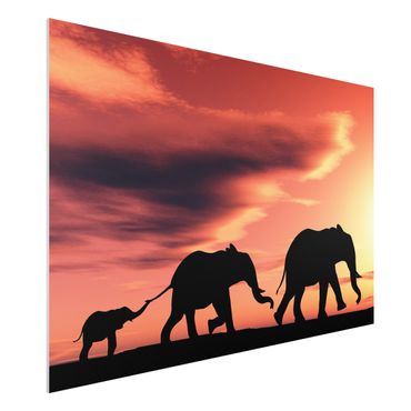 Forex print - Savannah Elephant Family