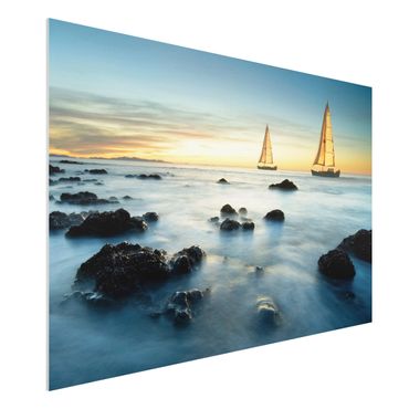 Forex print - Sailboats On the Ocean
