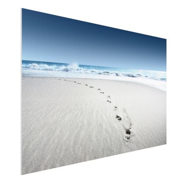 Forex print - Traces In The Sand