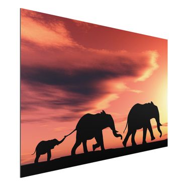 Print on aluminium - Savannah Elephant Family