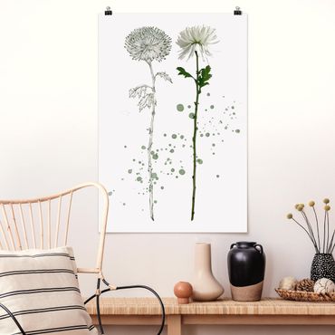 Poster flowers - Botanical Watercolour - Dandelion