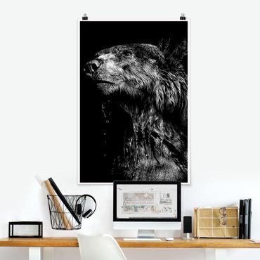 Poster animals - Bear In The Dark