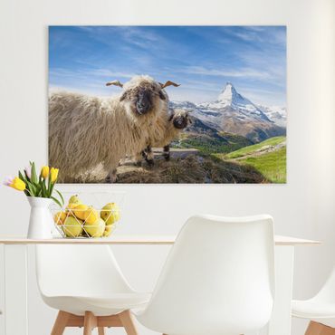 Print on canvas - Blacknose Sheep Of Zermatt