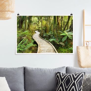Poster - Path In The Jungle