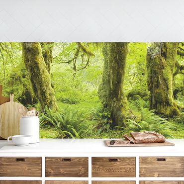Kitchen wall cladding - Hall Of Mosses Olympic National Park