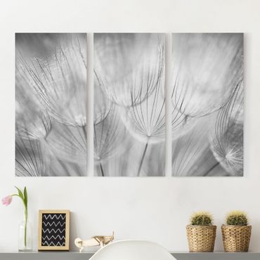 Print on canvas 3 parts - Dandelions Macro Shot In Black And White