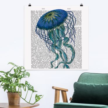 Poster - Animal Reading - Jellyfish