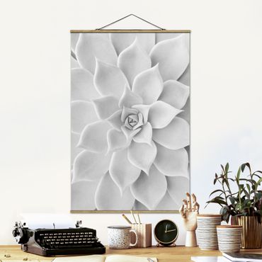 Fabric print with poster hangers - Cactus Succulent
