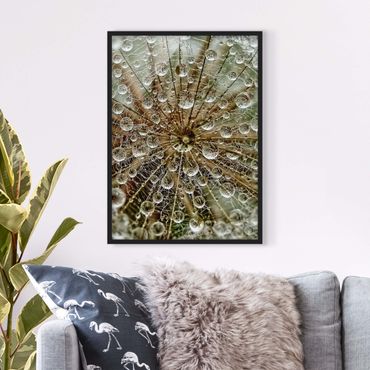 Framed poster - Dandelion In Autumn