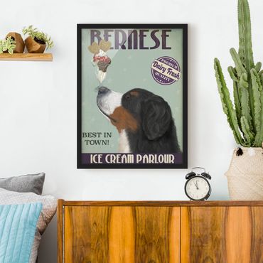 Framed poster - Bernese Mountain Dog With Ice