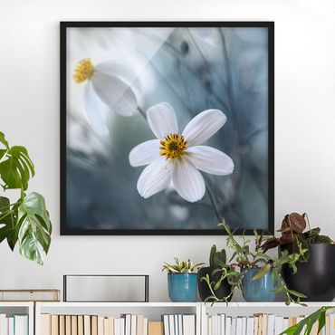 Framed poster - Cosmos in Pastels
