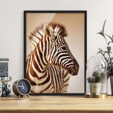 Framed poster - Zebra Baby Portrait