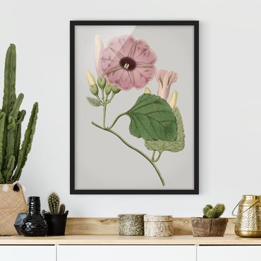 Framed poster - Floral Jewelry III
