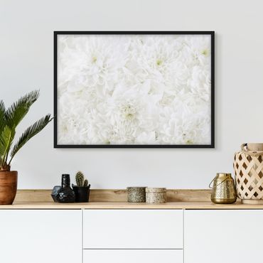 Framed poster - Dahlias Sea Of Flowers White