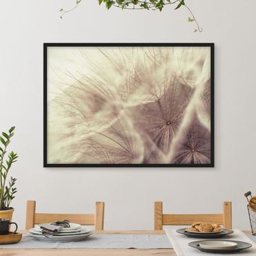 Framed poster - Detailed Dandelion Macro Shot With Vintage Blur Effect