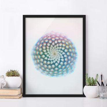Framed poster - WaterColours - Cactus Flower