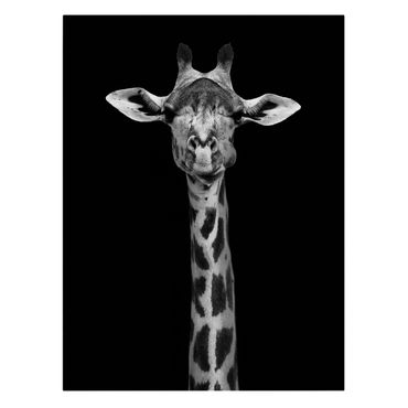 Print on canvas - Dark Giraffe Portrait