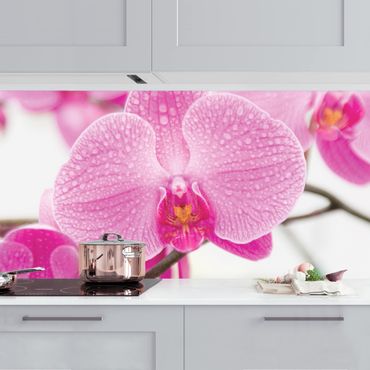 Kitchen wall cladding - Close-Up Orchid
