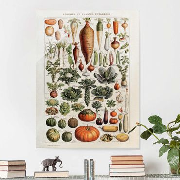 Glass print - Vintage Board Vegetables