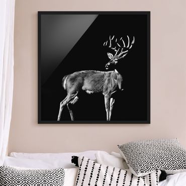 Framed poster - Deer In The Dark