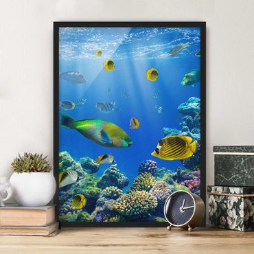 Framed poster - Underwater Lights