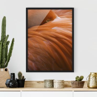 Framed poster - Flamingo Feathers
