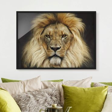 Framed poster - Wisdom Of Lion