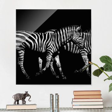 Glass print - Zebra In The Dark
