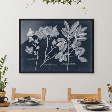 Framed poster - Foliage Dark Blue - Juniper