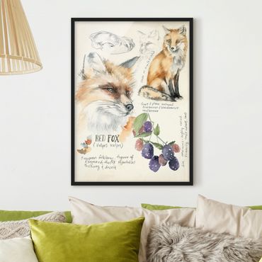 Framed poster - Wilderness Journal - Fox